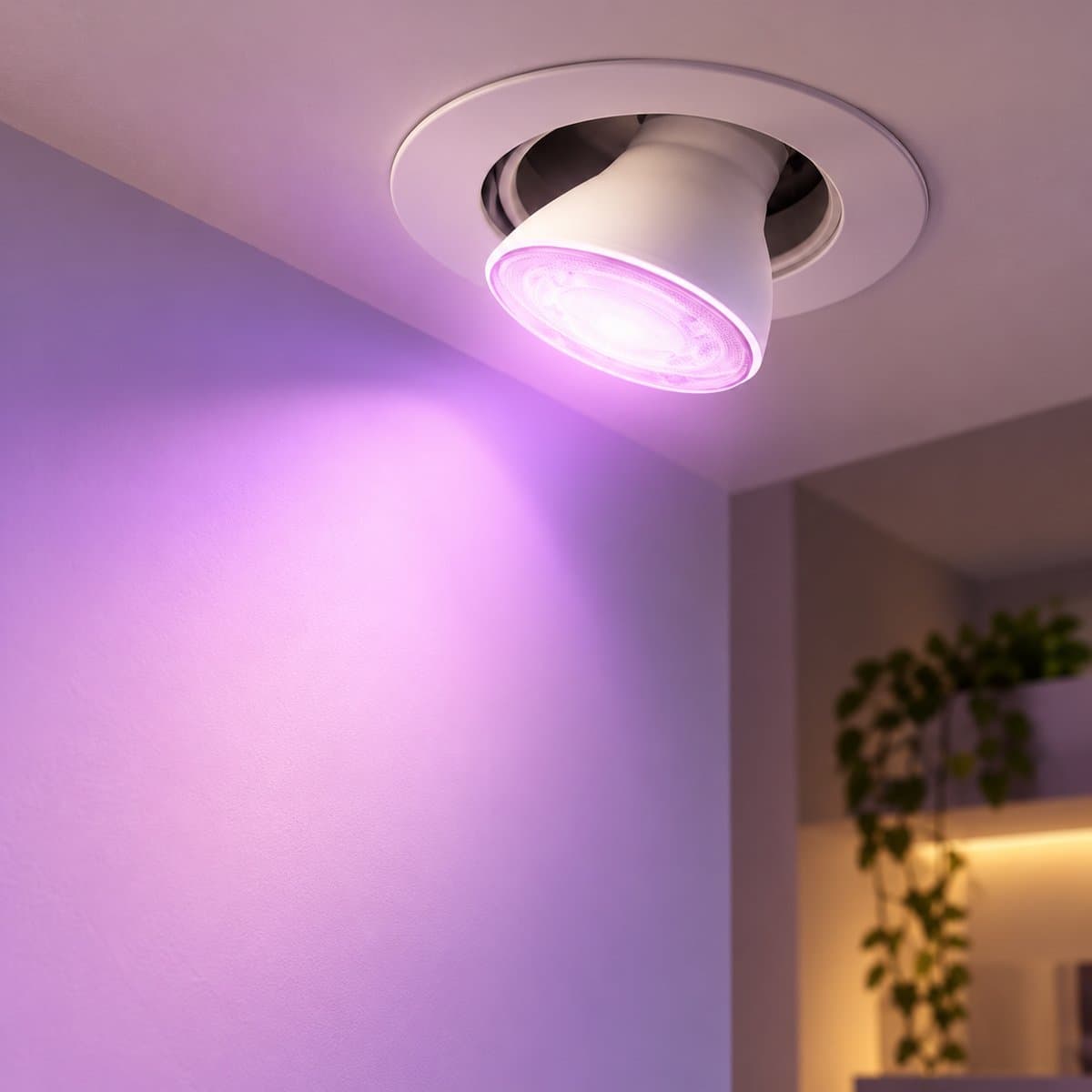 Bóng đèn thông minh WiZ GU10 RGB đã lắp đặt, đang chiếu sáng