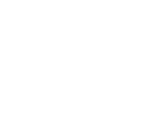 Becamex IDC